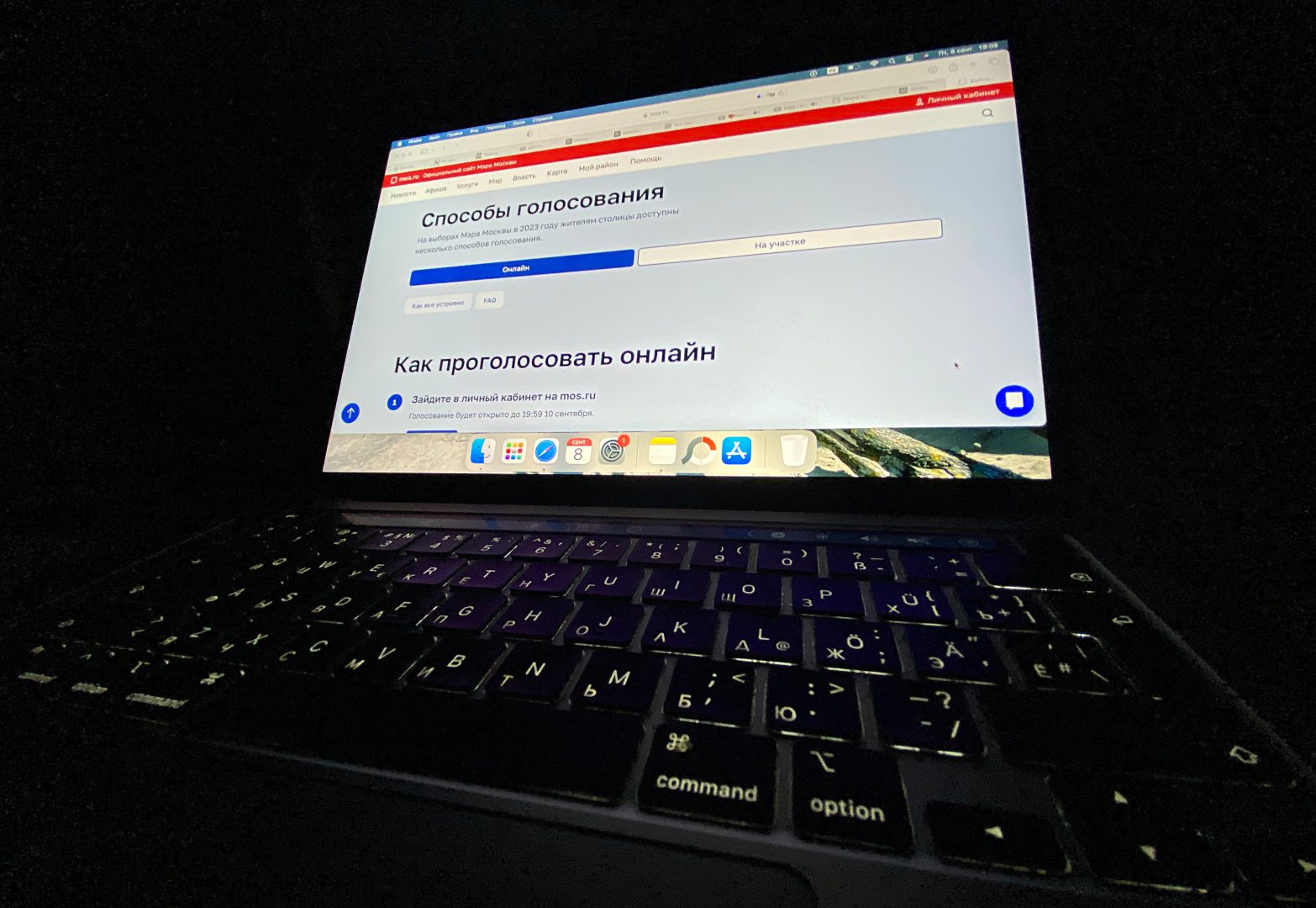 Тимати отметил удобство онлайн-голосования на избирательном участке. Фото: Анна Быкова, «Вечерняя Москва»