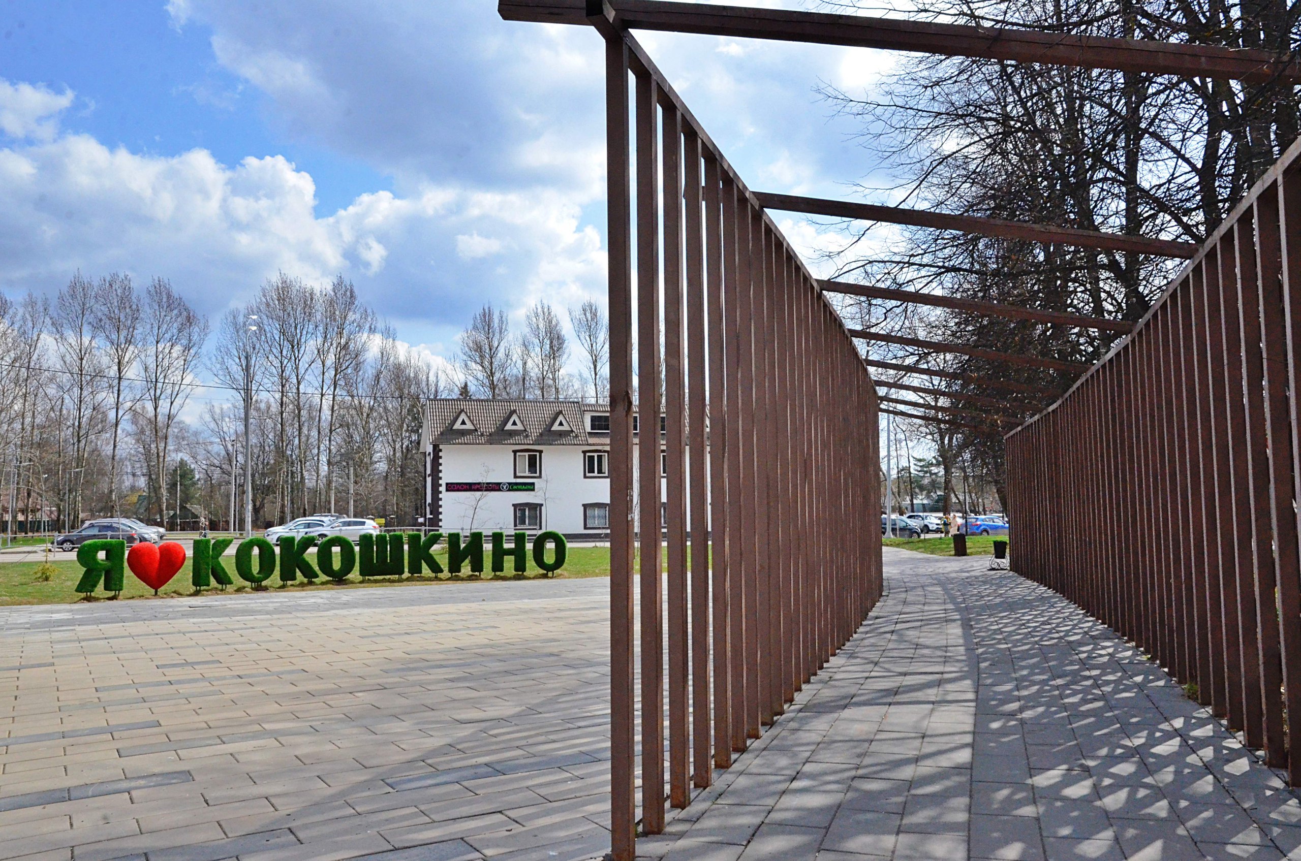 Активисты Молодежной палаты поселения Кокошкино примут участие в интерактиве