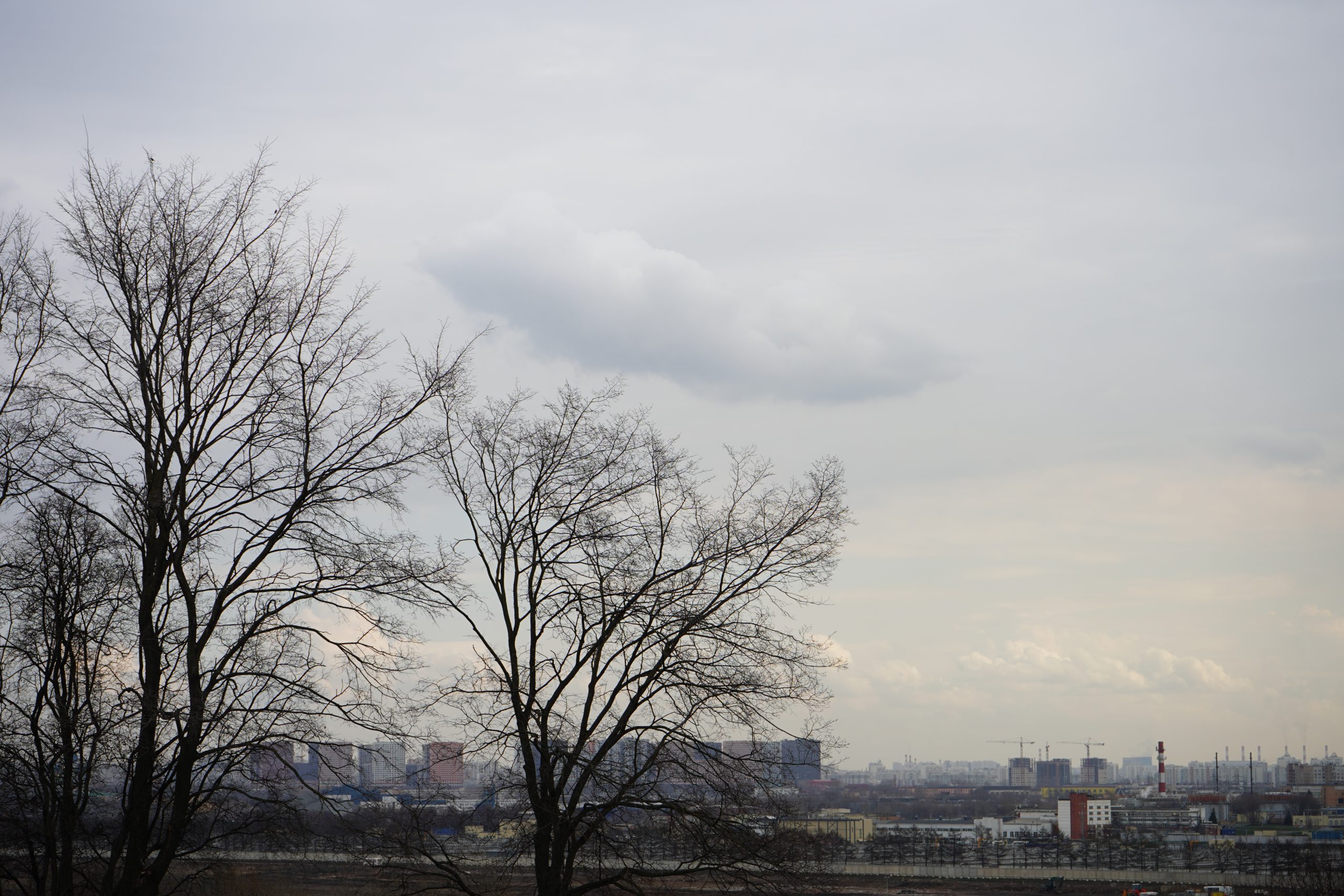Облачную погоду с дождем пообещали синоптики в Москве