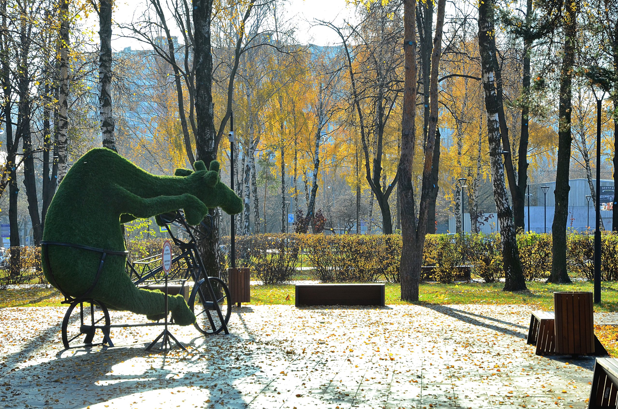Осенняя фотовыставка появилась на платформе виртуального музея «Москва — с заботой об истории»