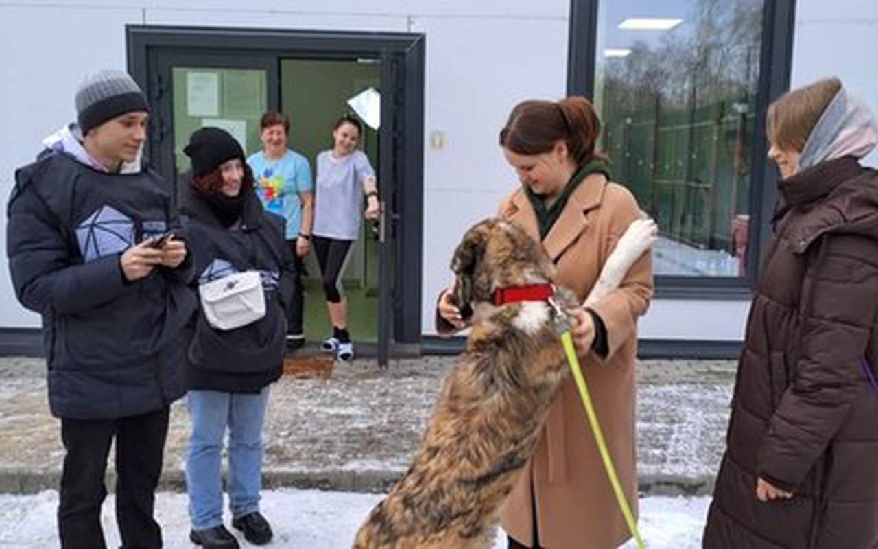 Активисты Молодежной палаты поселения Московский посетили приют для животных