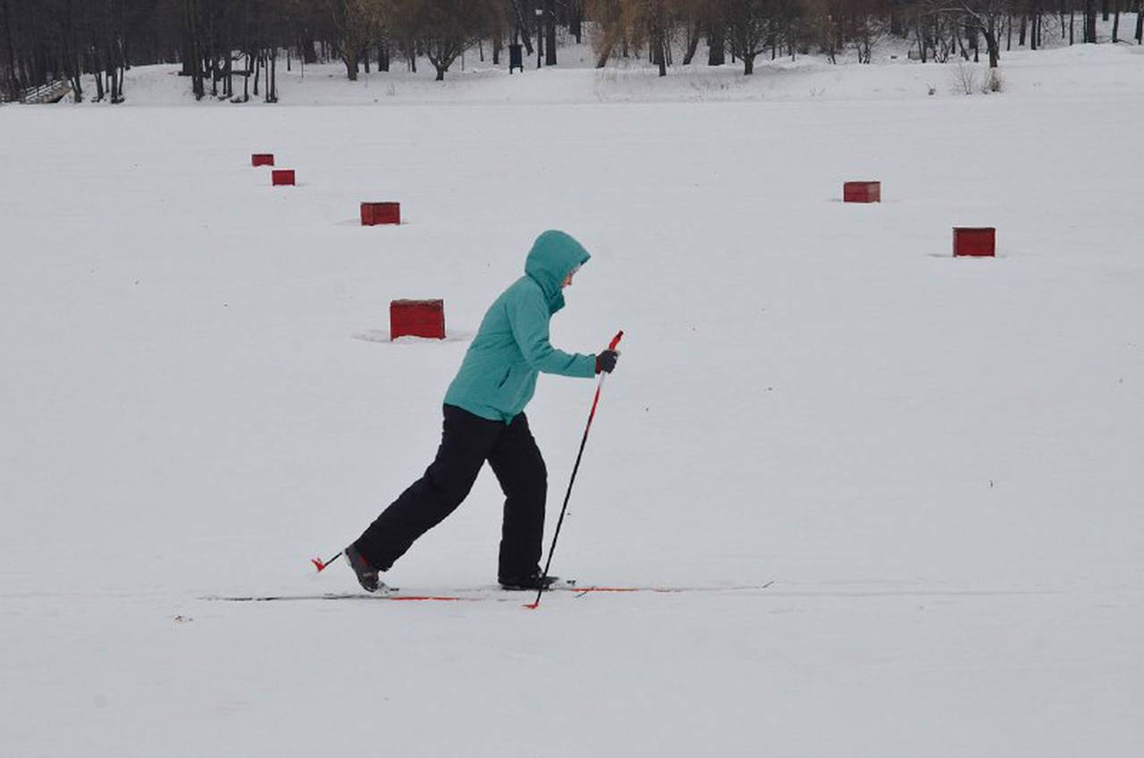 Первый этап открытых соревнований по лыжным гонкам состоялся в поселении Краснопахорское