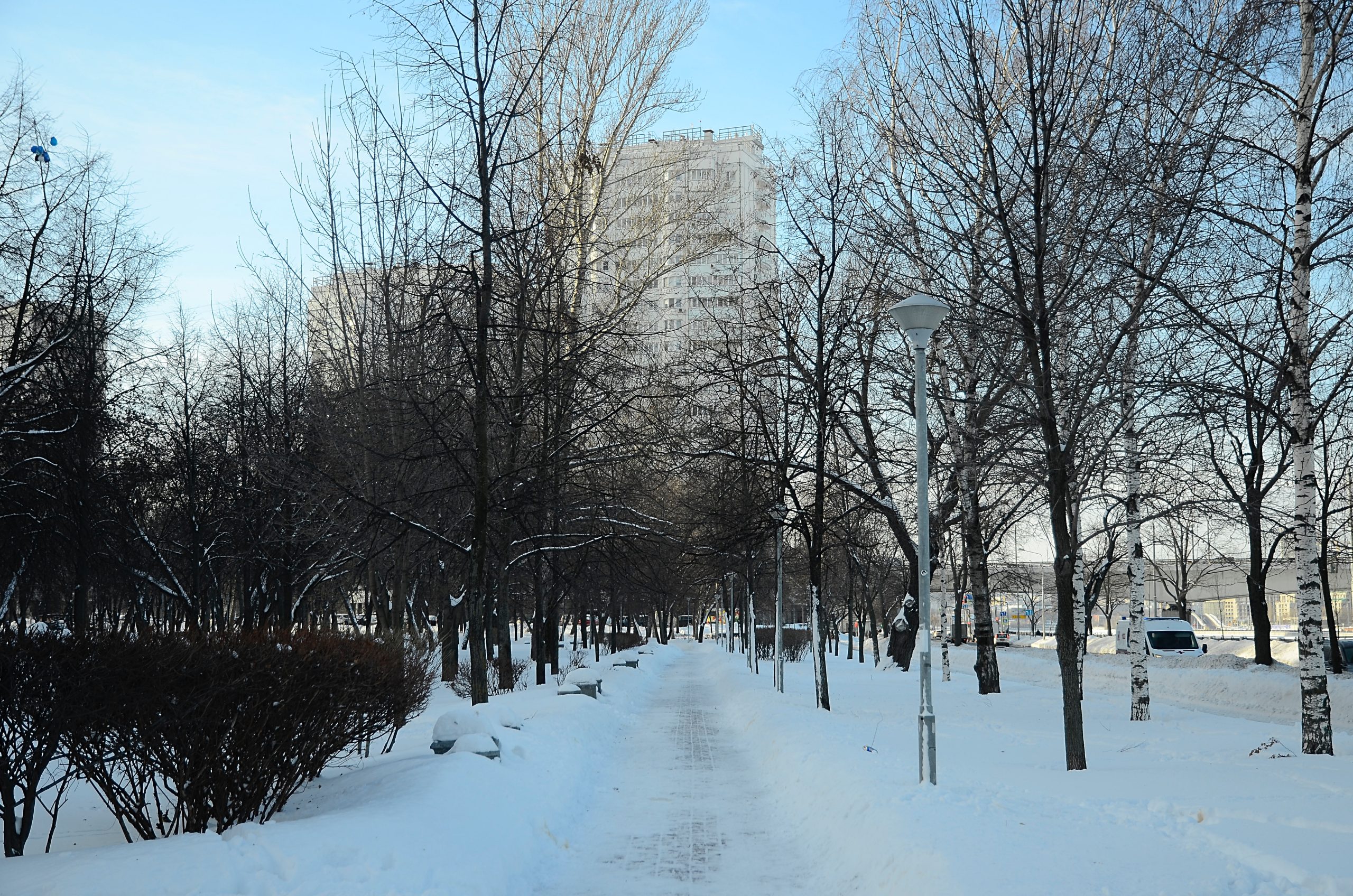Прояснения и небольшой снег: синоптики дали прогноз погоды на субботу в столице