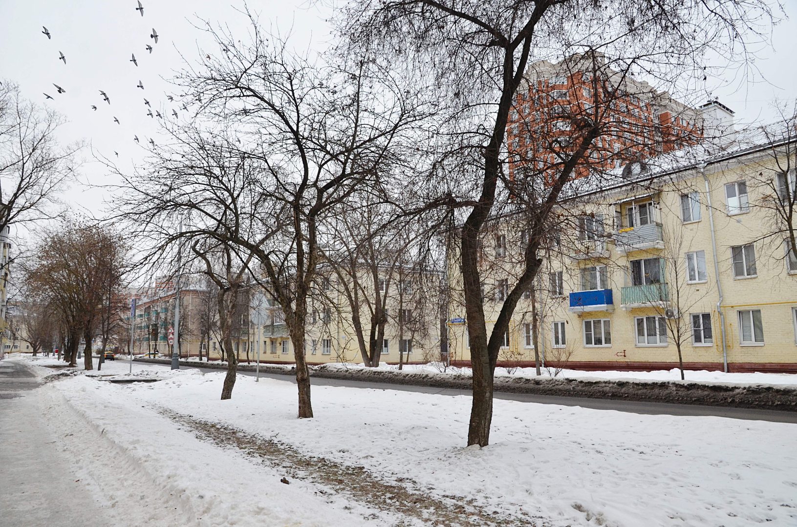 Жителям столицы рассказали о погоде в воскресенье. Фото: Анна Быкова, «Вечерняя Москва»