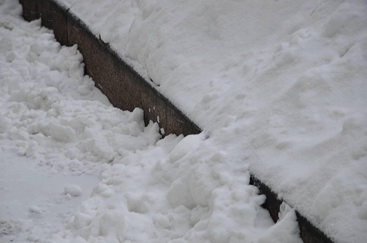 Небольшие снежные осадки пройдут в столице на следующей неделе. Фото: Анна Быкова, «Вечерняя Москва»