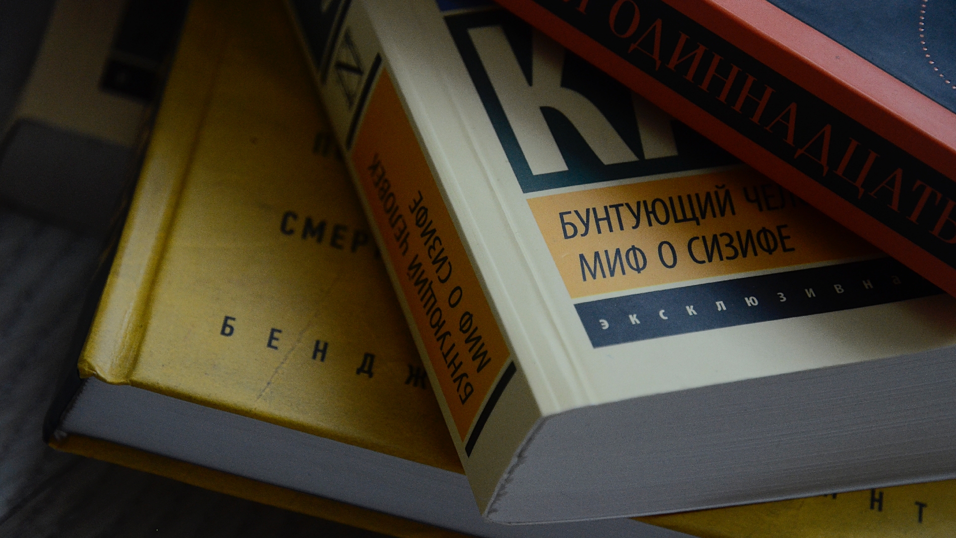 Выставка книг и изданий открылась в поселении Первомайское