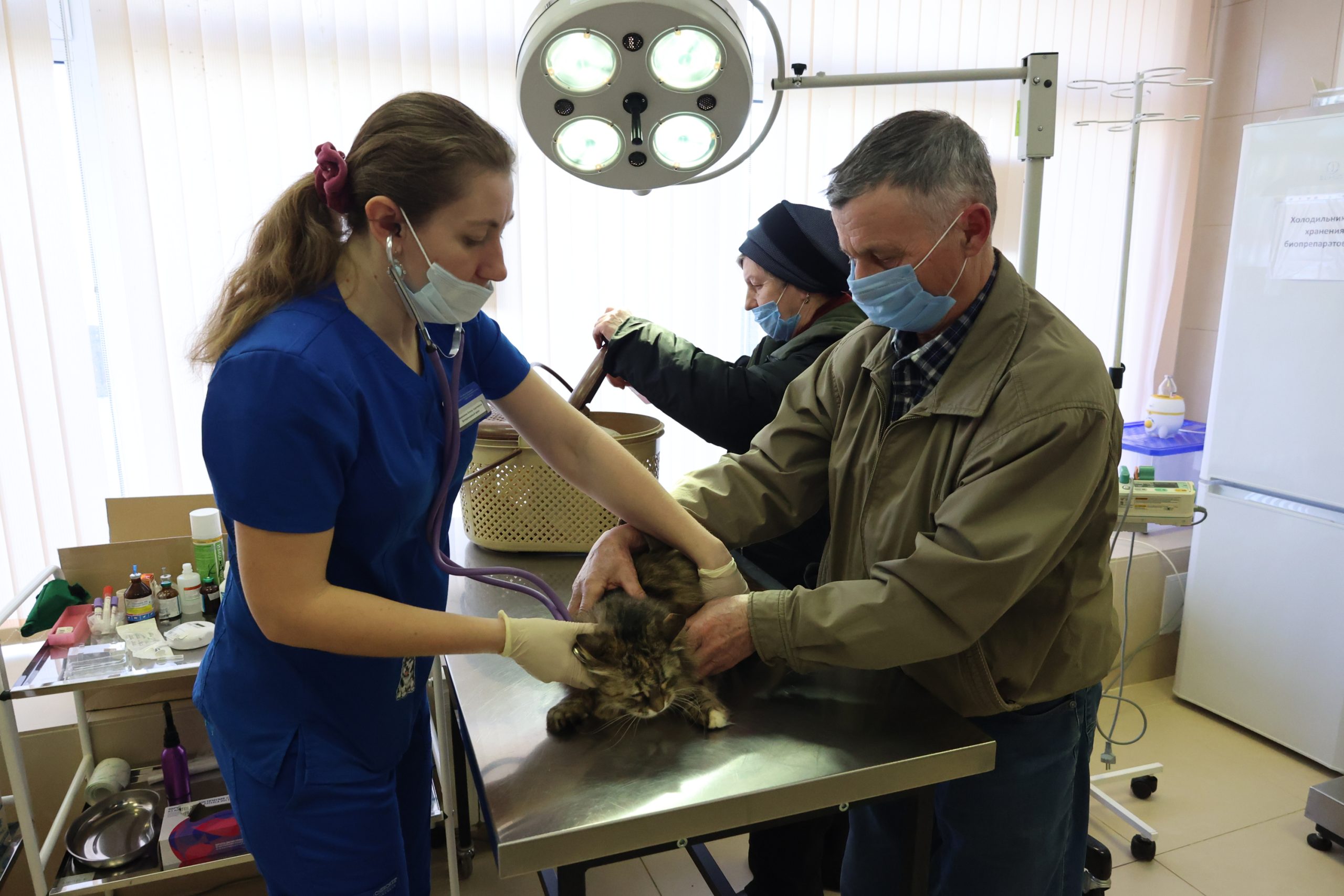 Жители столицы могут пройти ветеринарную стажировку в Правительстве Москвы