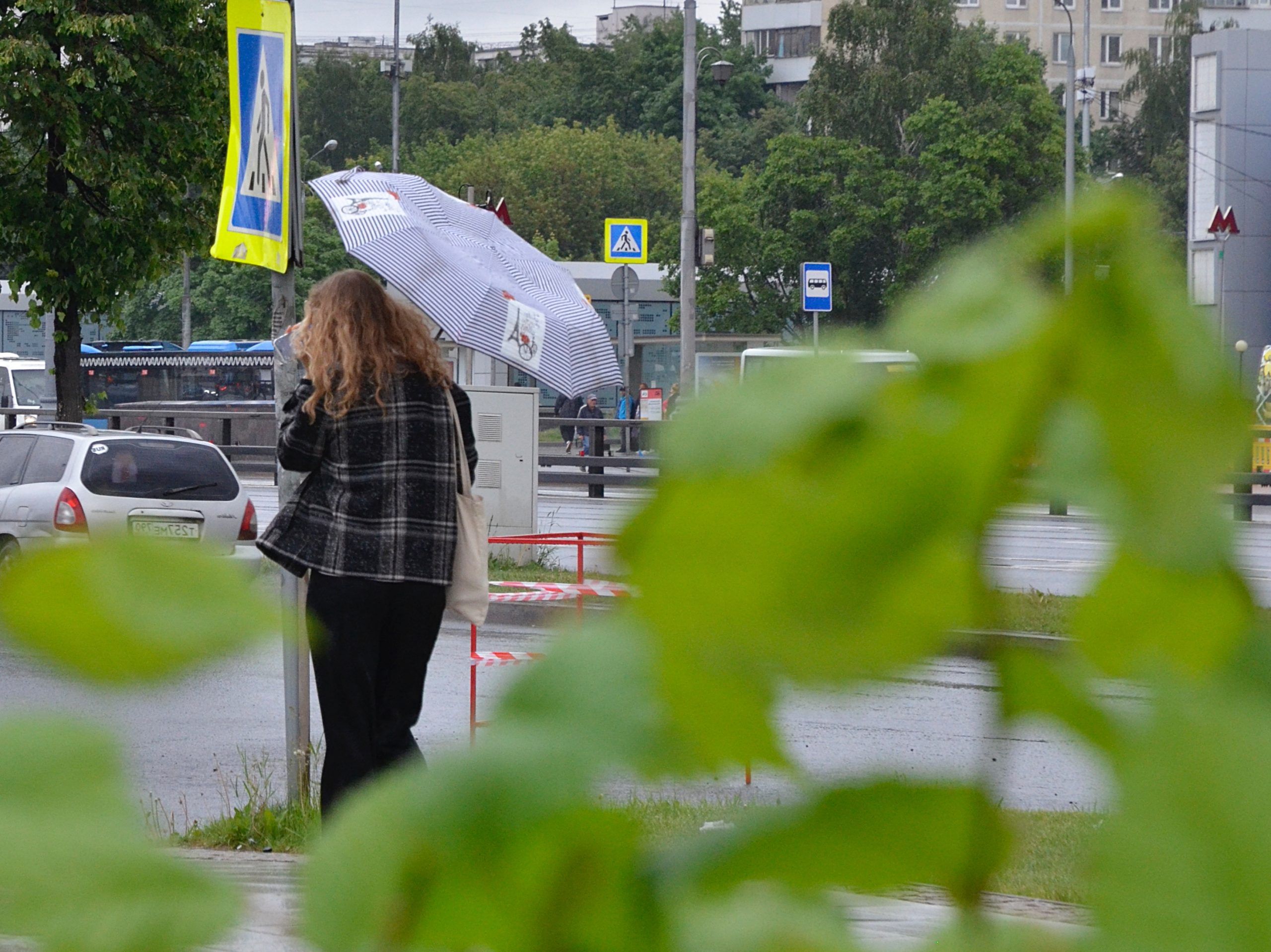 Ветер и дождь ожидаются в Москве 11 мая