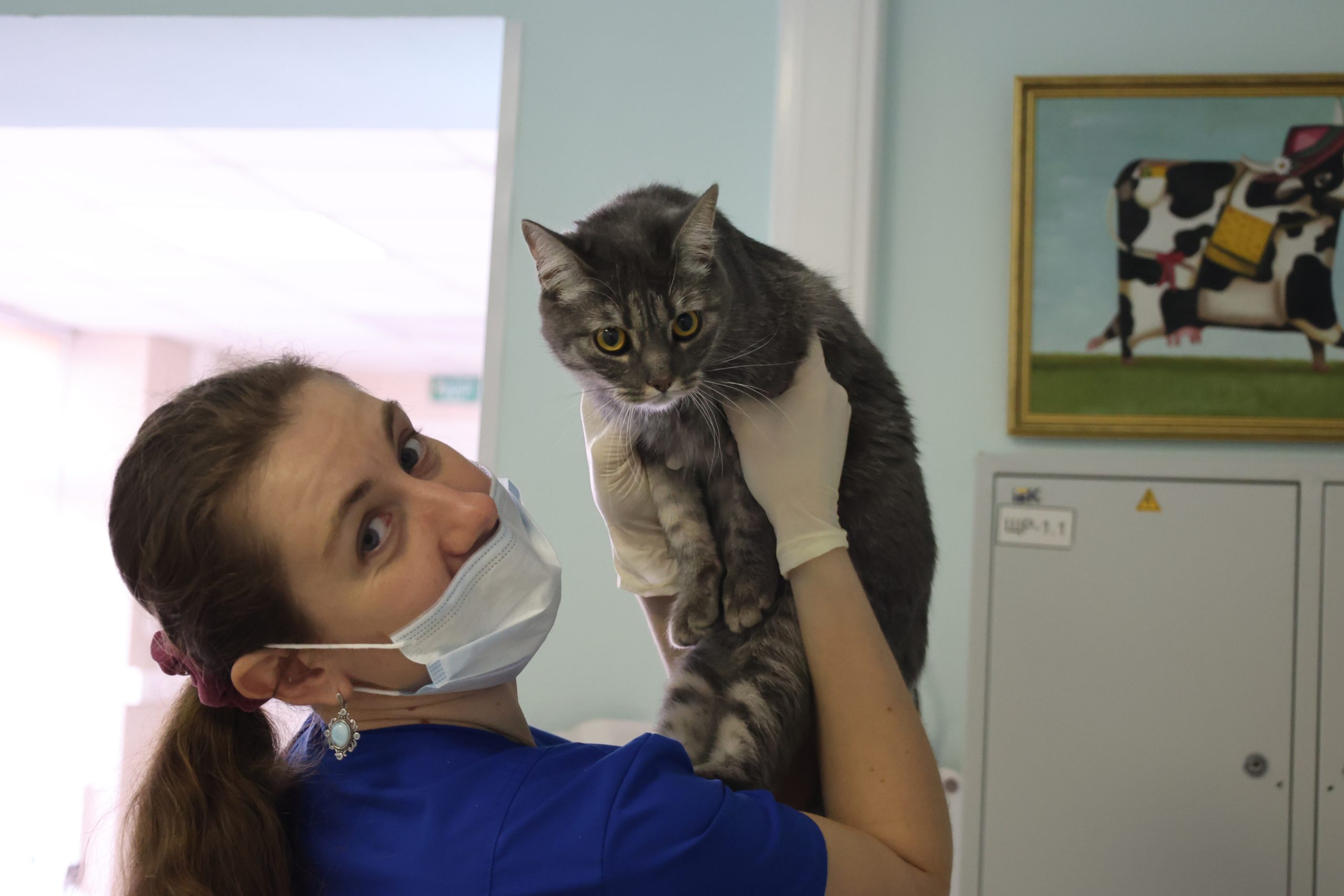 Одним из популярных запросов у москвичей является услугу проведения вакцинации домашних животных. Фото: Виктор Хабаров, «Вечерняя Москва»