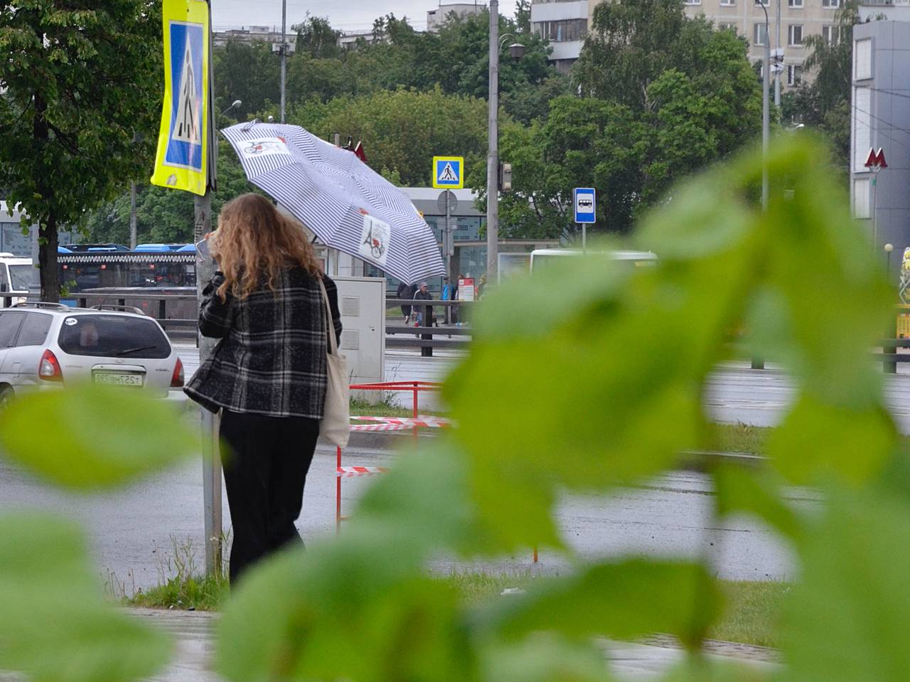 Сегодня ожидается пасмурная погода и грозовые дожди. Фото: Анна Быкова, «Вечерняя Москва»
