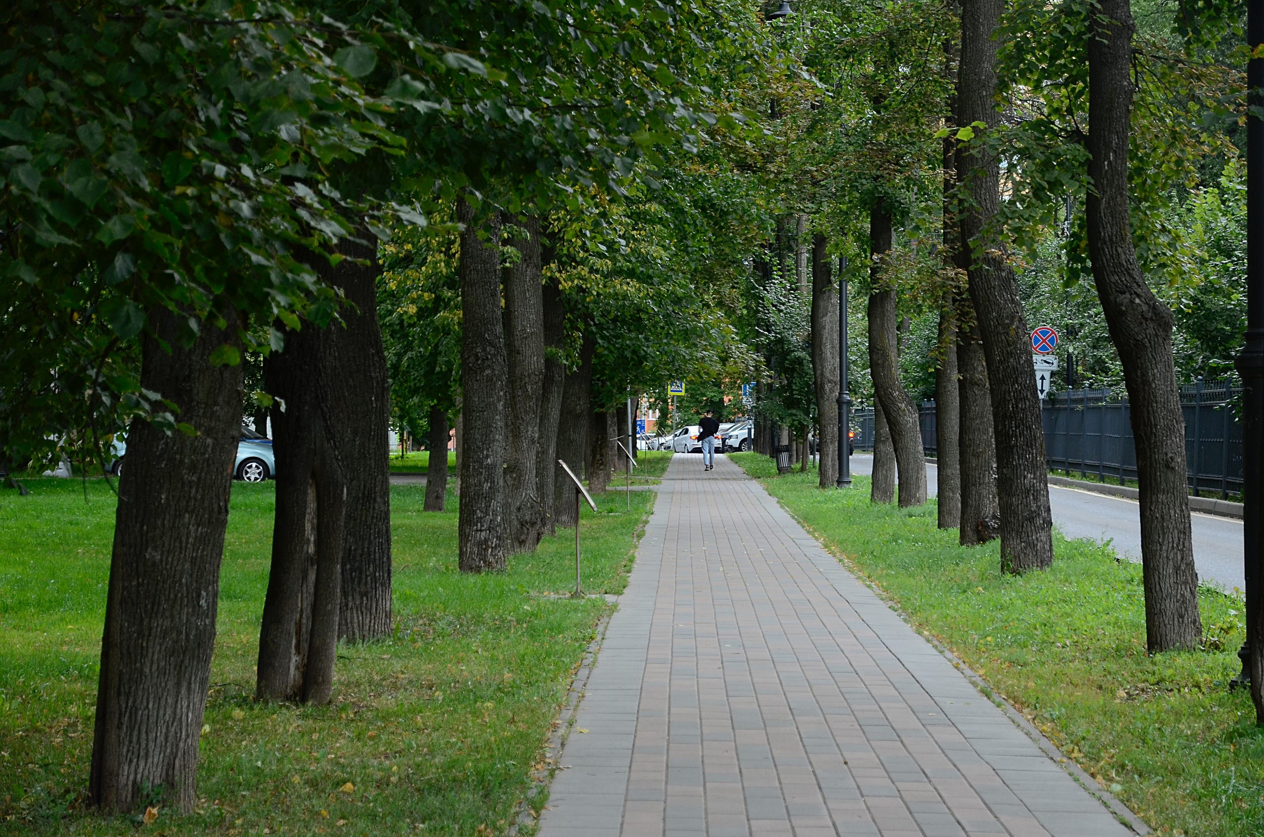 Жители и гости Москвы могут снова прогуляться по столичным паркам