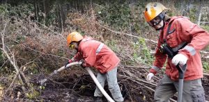 Девочки в ходе своих исследований добавили в раствор стабилизатор цитрат. Фото: пресс-служба Школьных Новостей