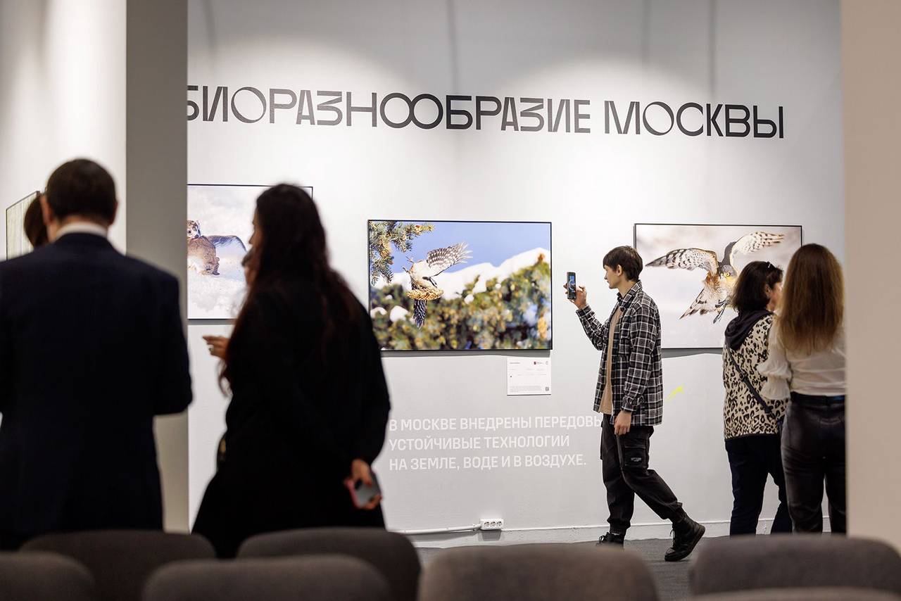 Горожане могут принять участие в фотоконкурсе «Золотая черепаха» в номинации «Дикая природа Москвы»