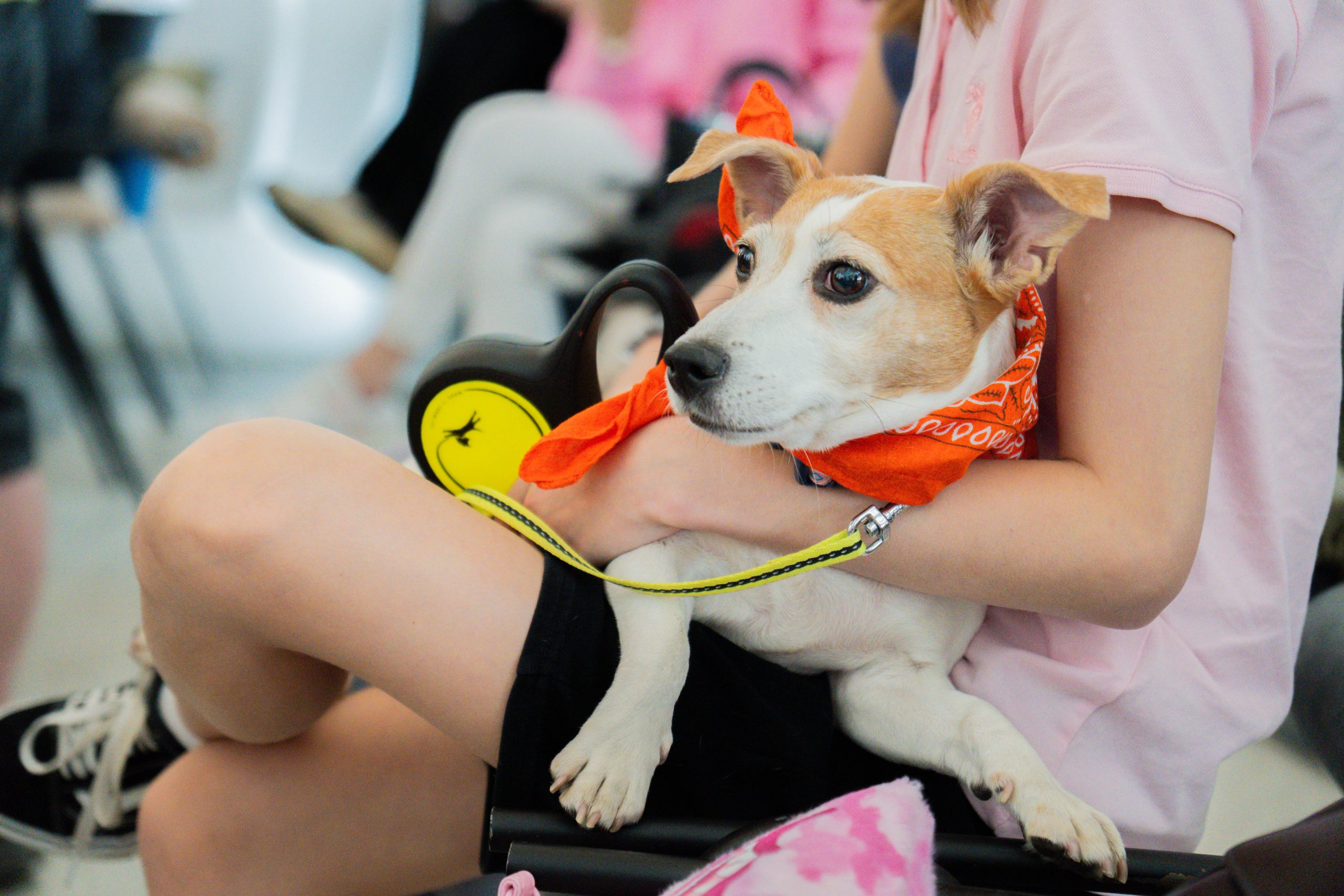 На прогулку с питомцем: как ВДНХ будет развивать pet-friendly инфраструктуру