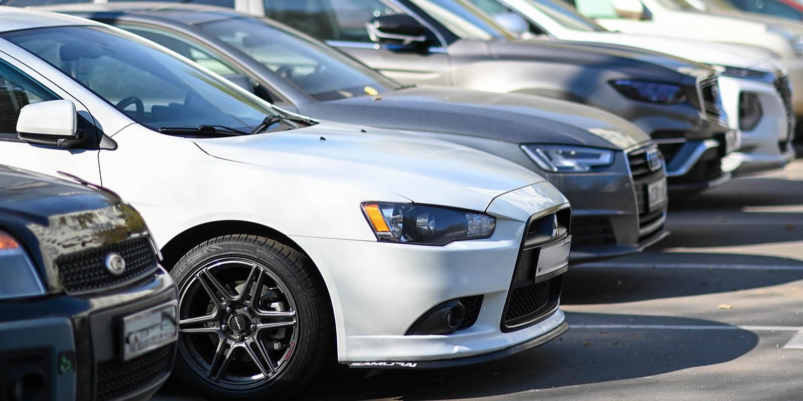 Не забыть проверить машину: как простая привычка может спасти животное