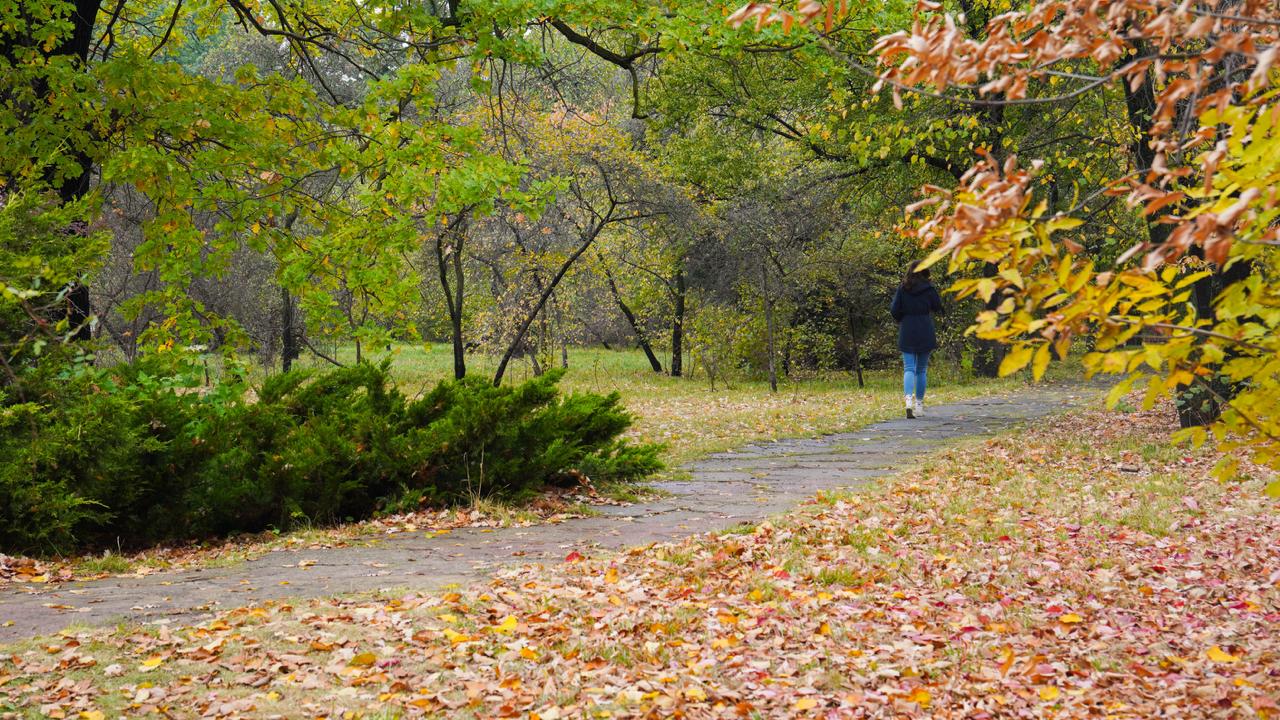 Бесплатные тренировки по фитнес-аэробике пройдут в Москве в честь Международного дня фитнеса