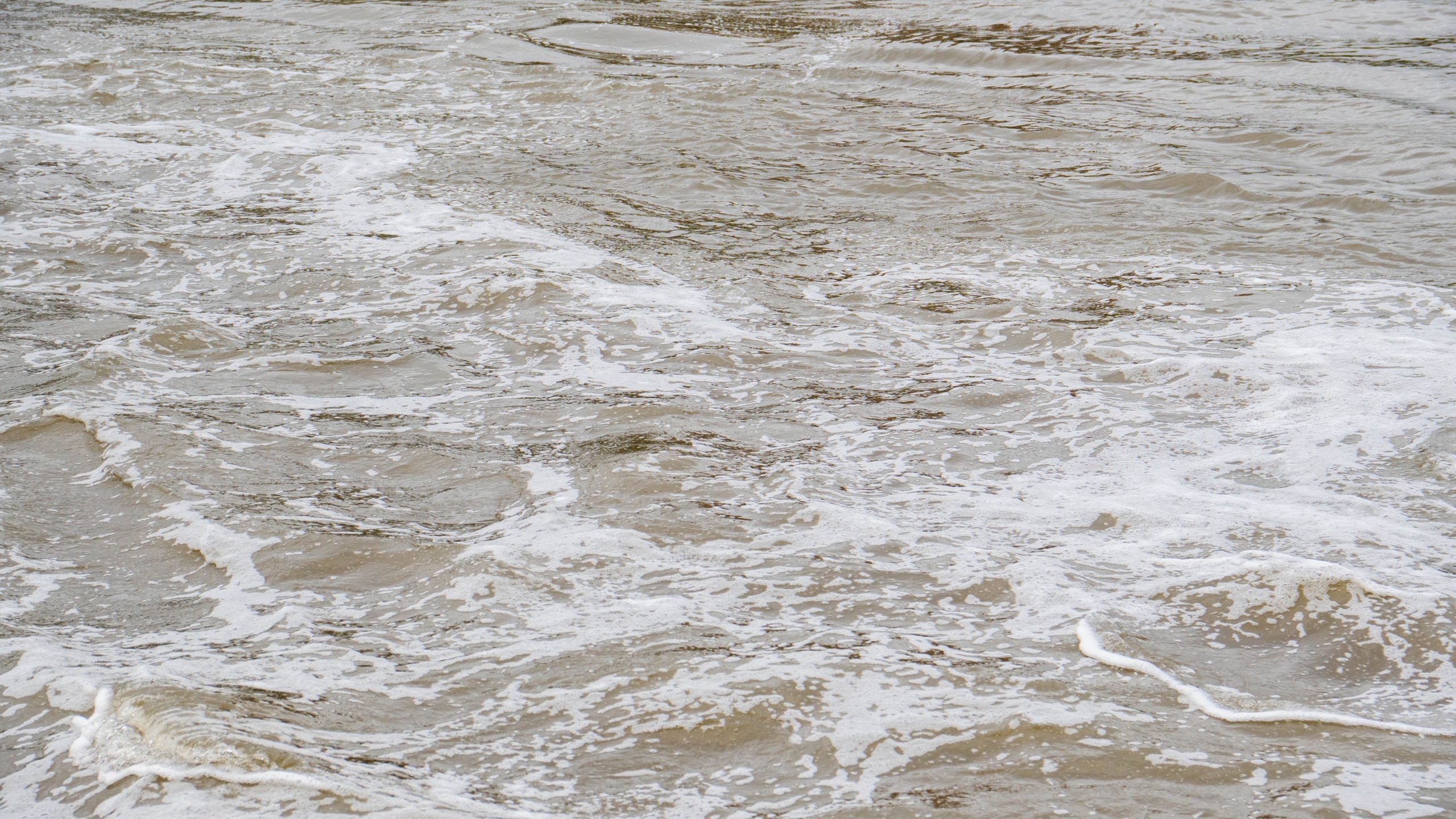 На ситуацию с загрязнением реки Сетуни отреагировали в Департаменте природопользования