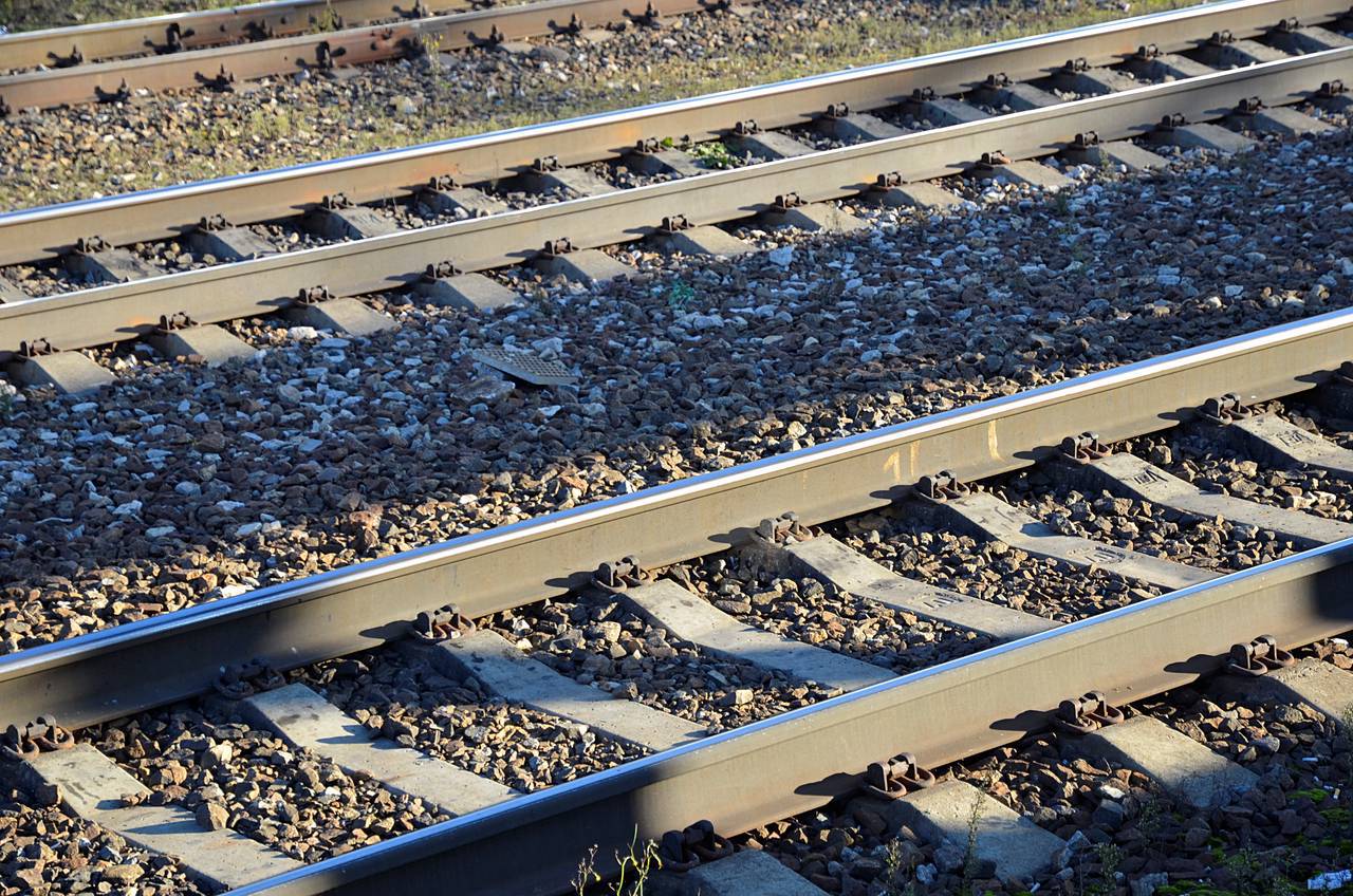 Студенты смогут отправиться на «Ласточках» и «Сапсанах» со скидкой 50% 25 января