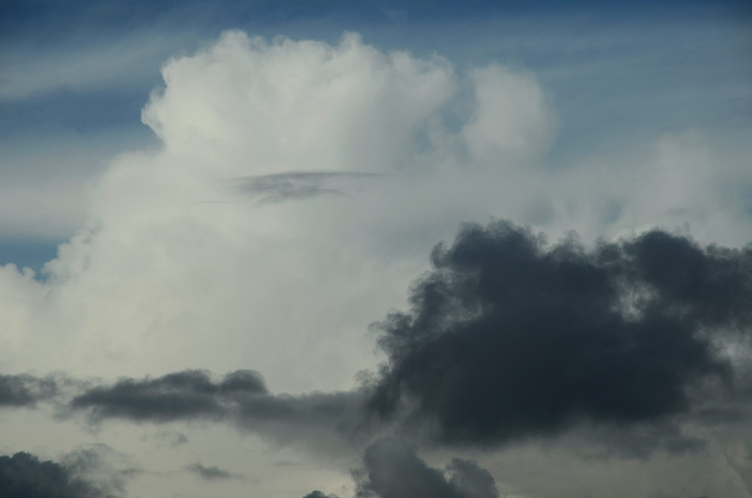 Специалисты эко-лаборатории провели инспекцию районов Внуково и Филимонковский