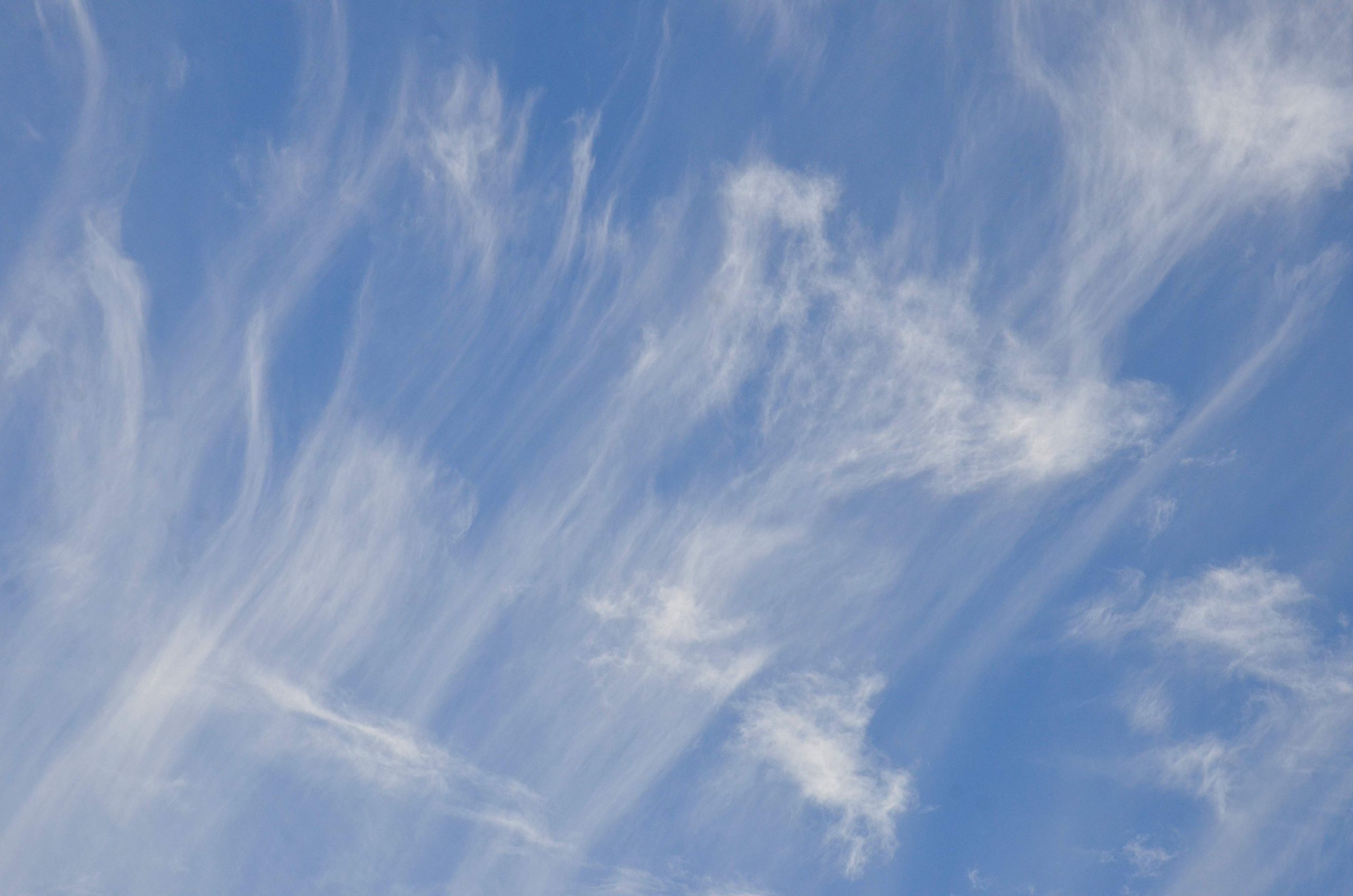 Экологи провели обследование 28 столичных районов